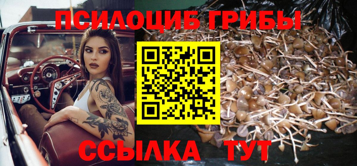 Галлюциногенные грибы мицелий Бирск