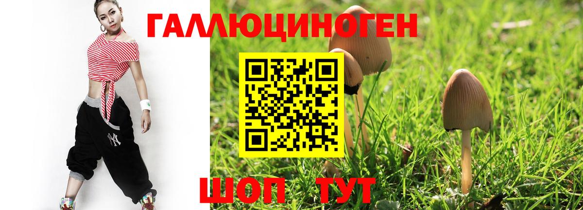 Бирск  Галлюциногенные грибы Psilocybe  Вход с VPN  купить закладку  Галлюциногенные грибы мухоморы 